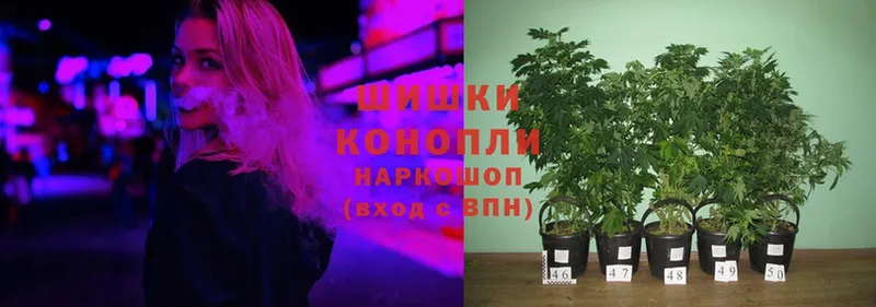 Шишки марихуана Ganja  мега   Великий Устюг 